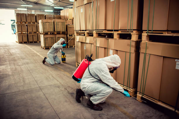 Best Mosquito Control Services  in Benton, LA