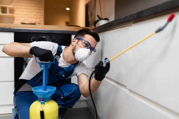 Best Residential Pest Control  in Benton, LA