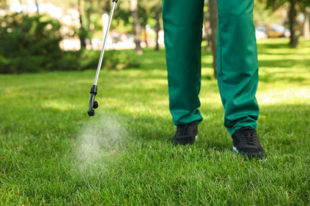 Pest Prevention Services in Benton, LA