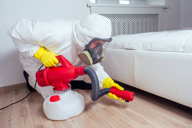 Best Local Pest Control Services  in Benton, LA