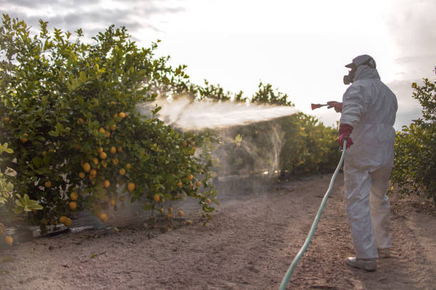 Best Residential Pest Control  in Benton, LA