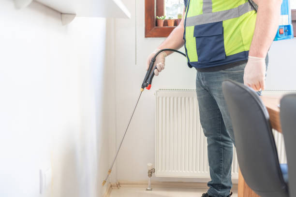 Best Rat Extermination Near Me  in Benton, LA