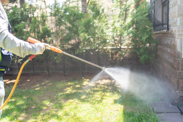 Best Best Pest Control Companies  in Benton, LA