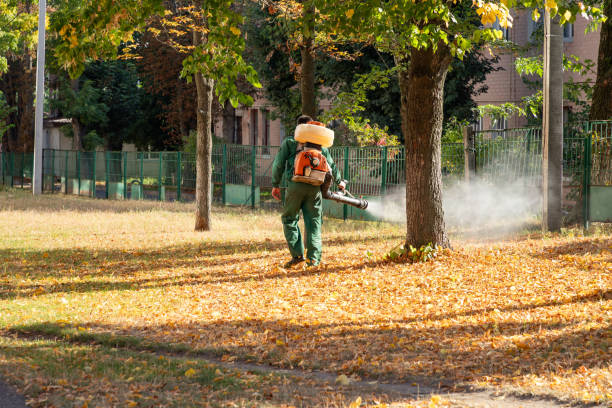 Best Pest Control for Businesses  in Benton, LA