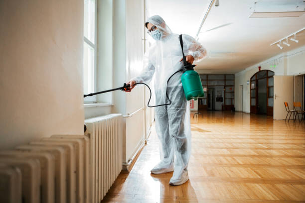 Professional Pest Control in Benton, LA