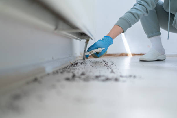 Best Cockroach Control Services  in Benton, LA