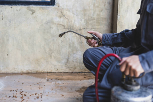Best Flea Control Services  in Benton, LA